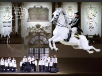 A Tribute to Vienna