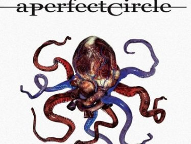 A Perfect Circle - © barracuda (Ausschnitt)