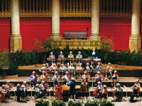 © Wiener Mozart Orchester © Wiener Mozart Orchester